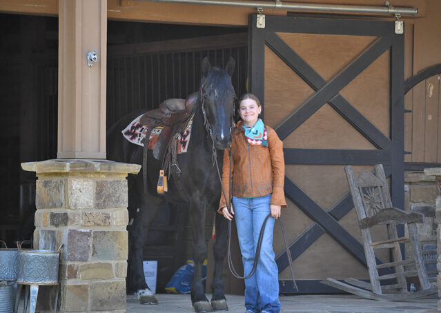 009-Jet-Black-Friesian-cross-gelding-for-sale