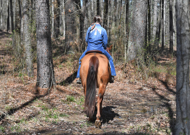 010-Browsin-AQHA-Red-Dun-Gelding-For-Sale