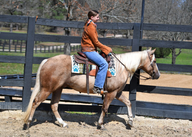 010-Davis-AQHA-Golden-Palomino-Flaxen-blonde-trails-arena-reining-ranch-kids-family-husband-quiet-bombproof