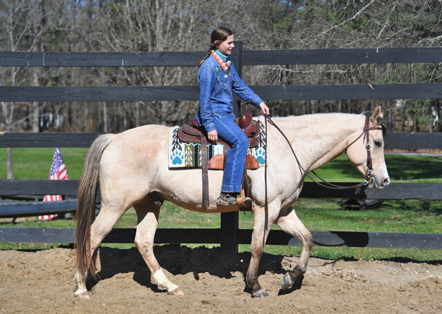 010-Harley-Buckskin-Quarter-Horse-Gelding-Trail-trails