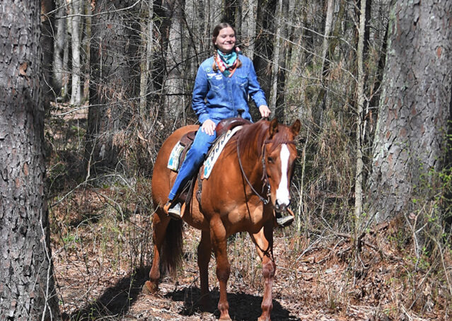 011-Browsin-AQHA-Red-Dun-Gelding-For-Sale