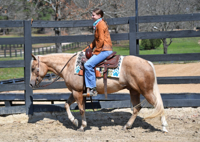 011-Davis-AQHA-Golden-Palomino-Flaxen-blonde-trails-arena-reining-ranch-kids-family-husband-quiet-bombproof