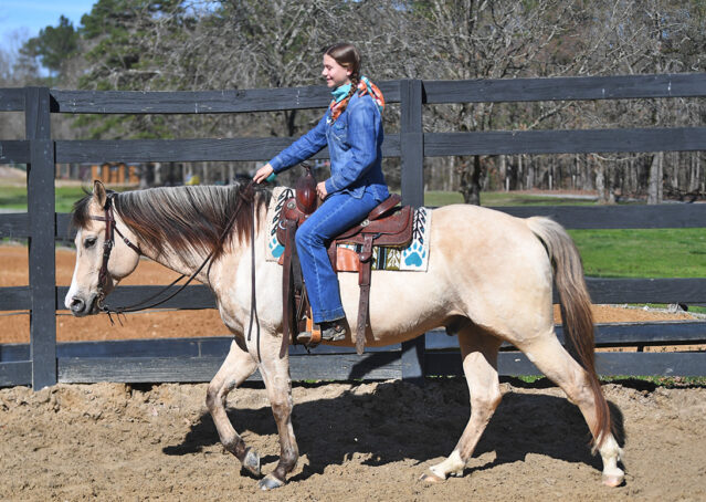 011-Harley-Buckskin-Quarter-Horse-Gelding-Trail-trails