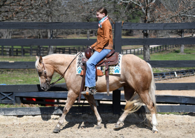 012-Davis-AQHA-Golden-Palomino-Flaxen-blonde-trails-arena-reining-ranch-kids-family-husband-quiet-bombproof