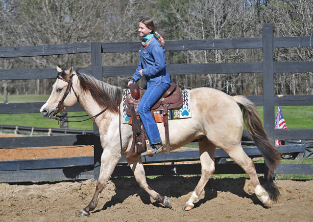 012-Harley-Buckskin-Quarter-Horse-Gelding-Trail-trails