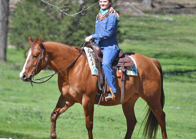 013-Browsin-AQHA-Red-Dun-Gelding-For-Sale