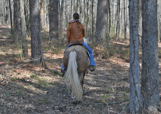 013-Davis-AQHA-Golden-Palomino-Flaxen-blonde-trails-arena-reining-ranch-kids-family-husband-quiet-bombproof
