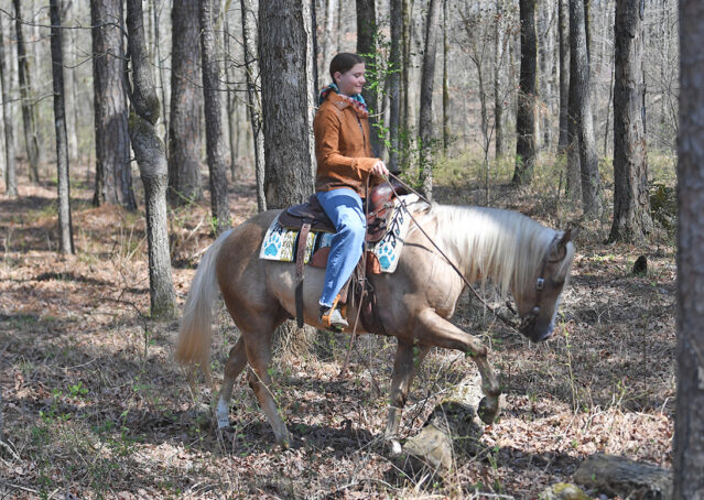 014-Davis-AQHA-Golden-Palomino-Flaxen-blonde-trails-arena-reining-ranch-kids-family-husband-quiet-bombproof