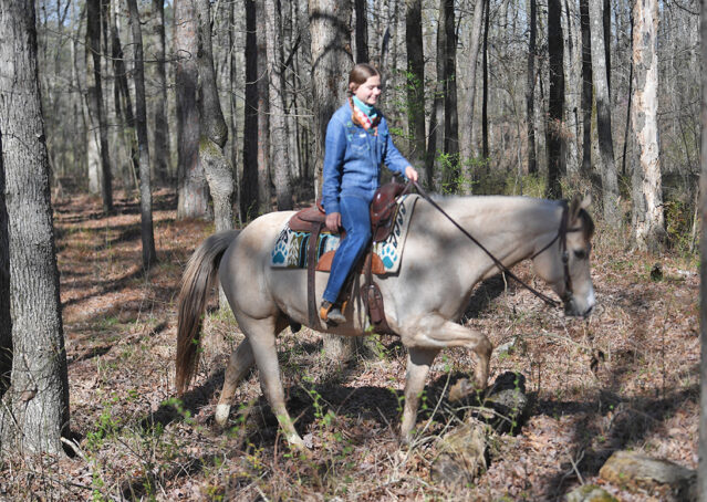 014-Harley-Buckskin-Quarter-Horse-Gelding-Trail-trails