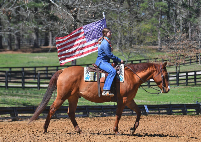 015-Browsin-AQHA-Red-Dun-Gelding-For-Sale