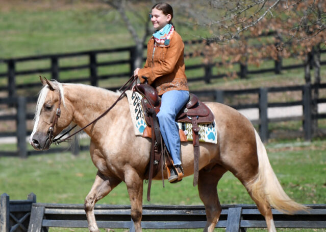 015-Davis-AQHA-Golden-Palomino-Flaxen-blonde-trails-arena-reining-ranch-kids-family-husband-quiet-bombproof