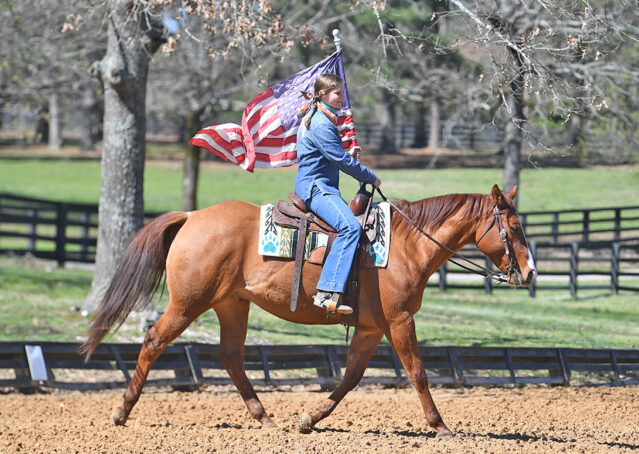 016-Browsin-AQHA-Red-Dun-Gelding-For-Sale