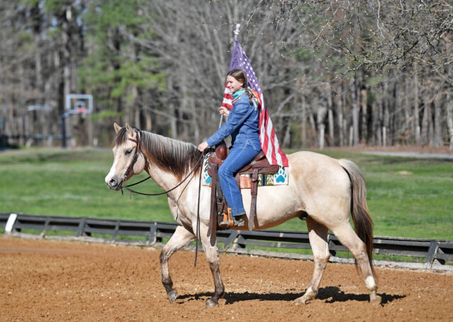 016-Harley-Buckskin-Quarter-Horse-Gelding-Trail-trails