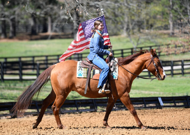 017-Browsin-AQHA-Red-Dun-Gelding-For-Sale
