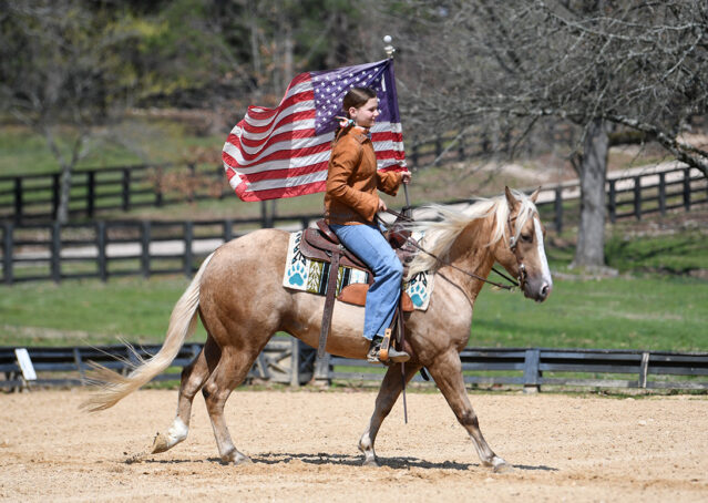017-Davis-AQHA-Golden-Palomino-Flaxen-blonde-trails-arena-reining-ranch-kids-family-husband-quiet-bombproof