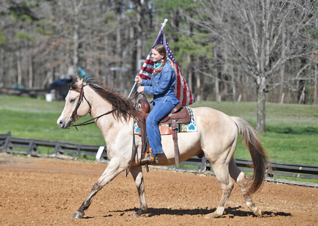 017-Harley-Buckskin-Quarter-Horse-Gelding-Trail-trails