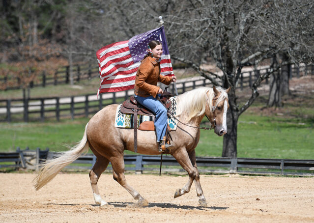 018-Davis-AQHA-Golden-Palomino-Flaxen-blonde-trails-arena-reining-ranch-kids-family-husband-quiet-bombproof