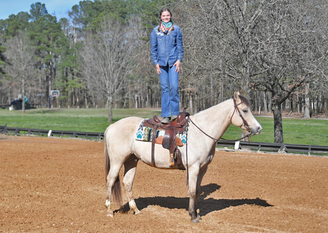 018-Harley-Buckskin-Quarter-Horse-Gelding-Trail-trails
