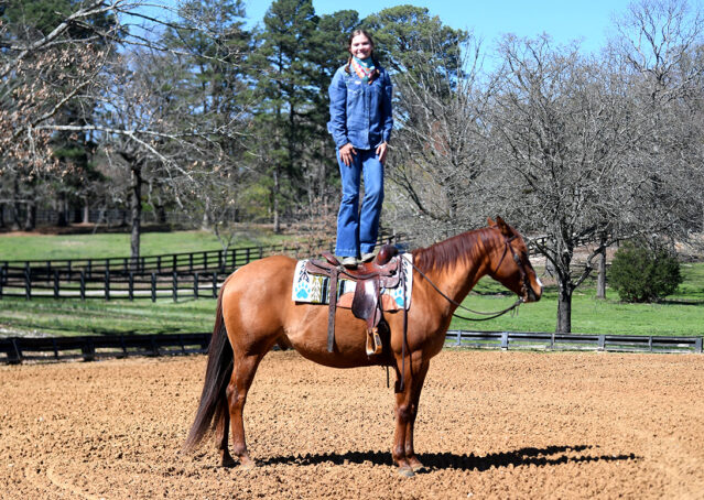 019-Browsin-AQHA-Red-Dun-Gelding-For-Sale