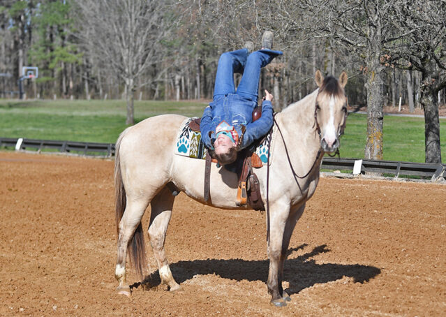 019-Harley-Buckskin-Quarter-Horse-Gelding-Trail-trails