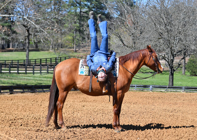 020-Browsin-AQHA-Red-Dun-Gelding-For-Sale