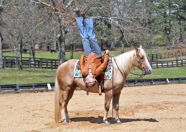 020-Davis-AQHA-Golden-Palomino-Flaxen-blonde-trails-arena-reining-ranch-kids-family-husband-quiet-bombproof