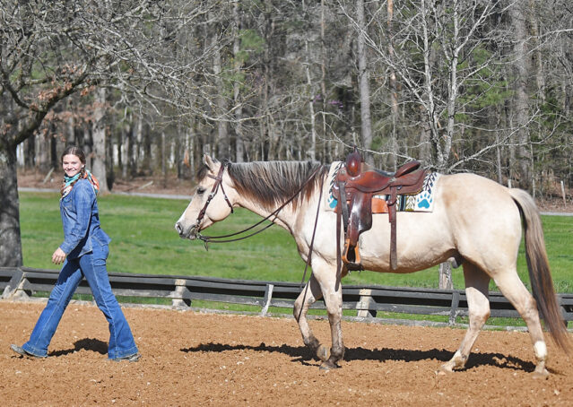 020-Harley-Buckskin-Quarter-Horse-Gelding-Trail-trails