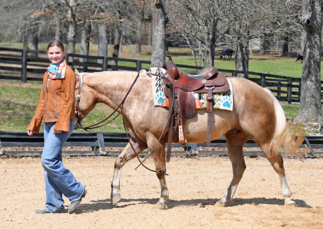 021-Davis-AQHA-Golden-Palomino-Flaxen-blonde-trails-arena-reining-ranch-kids-family-husband-quiet-bombproof