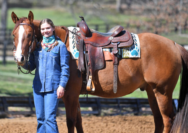 022-Browsin-AQHA-Red-Dun-Gelding-For-Sale