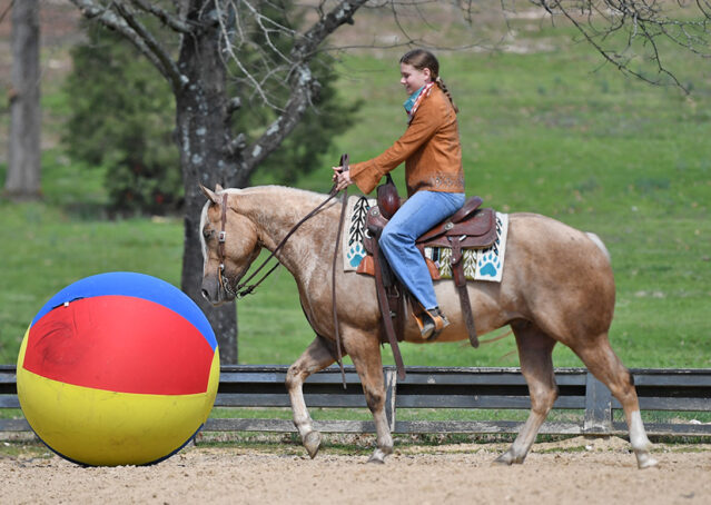 022-Davis-AQHA-Golden-Palomino-Flaxen-blonde-trails-arena-reining-ranch-kids-family-husband-quiet-bombproof