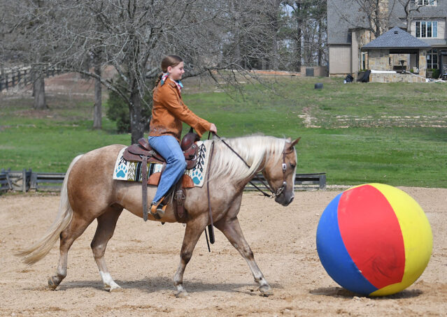 023-Davis-AQHA-Golden-Palomino-Flaxen-blonde-trails-arena-reining-ranch-kids-family-husband-quiet-bombproof