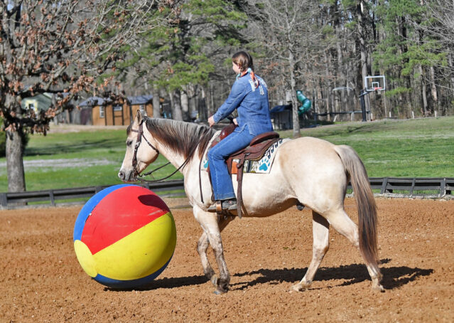 023-Harley-Buckskin-Quarter-Horse-Gelding-Trail-trails