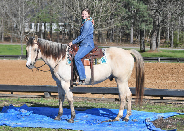 024-Harley-Buckskin-Quarter-Horse-Gelding-Trail-trails