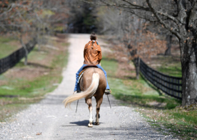 025-Davis-AQHA-Golden-Palomino-Flaxen-blonde-trails-arena-reining-ranch-kids-family-husband-quiet-bombproof