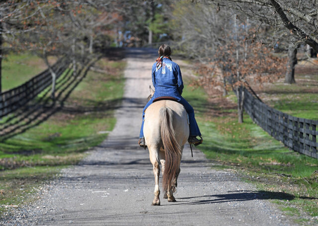 025-Harley-Buckskin-Quarter-Horse-Gelding-Trail-trails