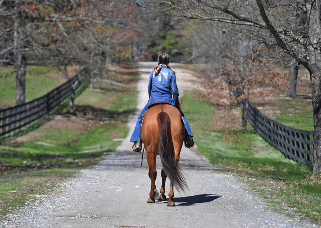 026-Browsin-AQHA-Red-Dun-Gelding-For-Sale