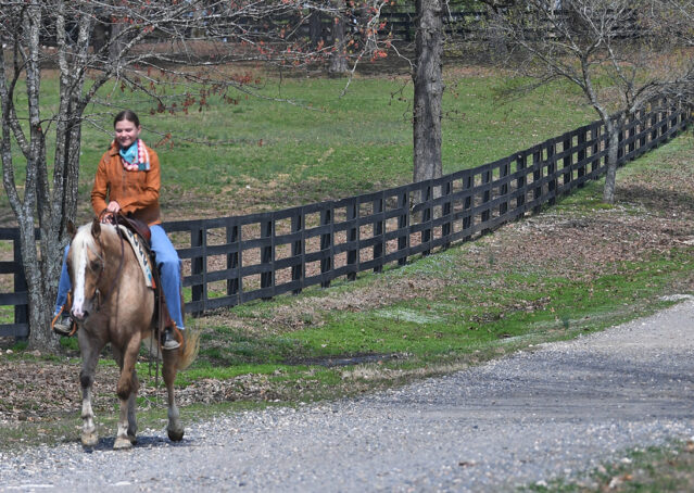026-Davis-AQHA-Golden-Palomino-Flaxen-blonde-trails-arena-reining-ranch-kids-family-husband-quiet-bombproof