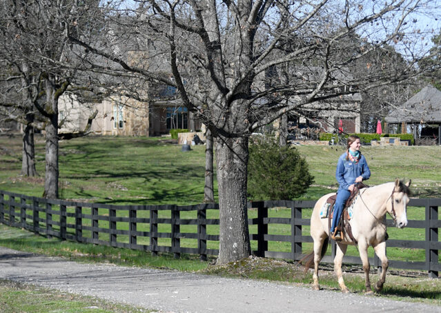 026-Harley-Buckskin-Quarter-Horse-Gelding-Trail-trails