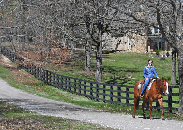 027-Browsin-AQHA-Red-Dun-Gelding-For-Sale