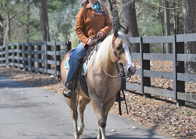 030-Davis-AQHA-Golden-Palomino-Flaxen-blonde-trails-arena-reining-ranch-kids-family-husband-quiet-bombproof
