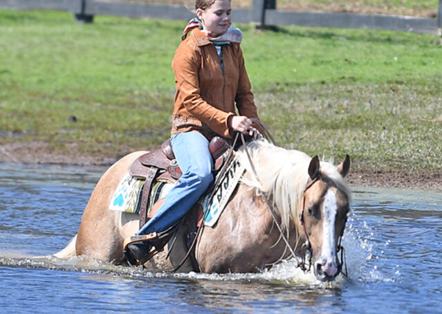 032-Davis-AQHA-Golden-Palomino-Flaxen-blonde-trails-arena-reining-ranch-kids-family-husband-quiet-bombproof