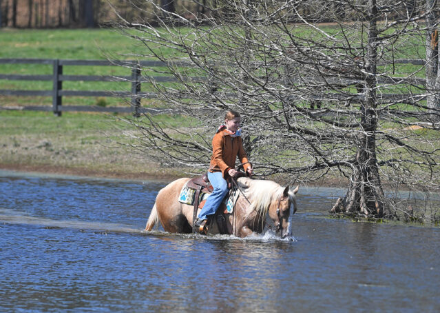 033-Davis-AQHA-Golden-Palomino-Flaxen-blonde-trails-arena-reining-ranch-kids-family-husband-quiet-bombproof