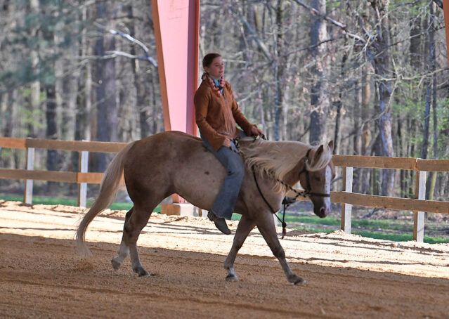 035-Davis-AQHA-Golden-Palomino-Flaxen-blonde-trails-arena-reining-ranch-kids-family-husband-quiet-bombproof