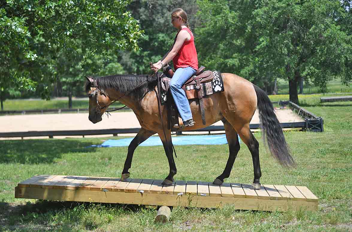 Kids Riding Ability Overview Video