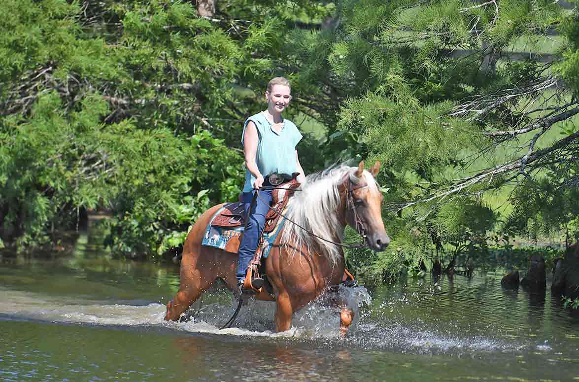 Mateo | Horse of My Dreams