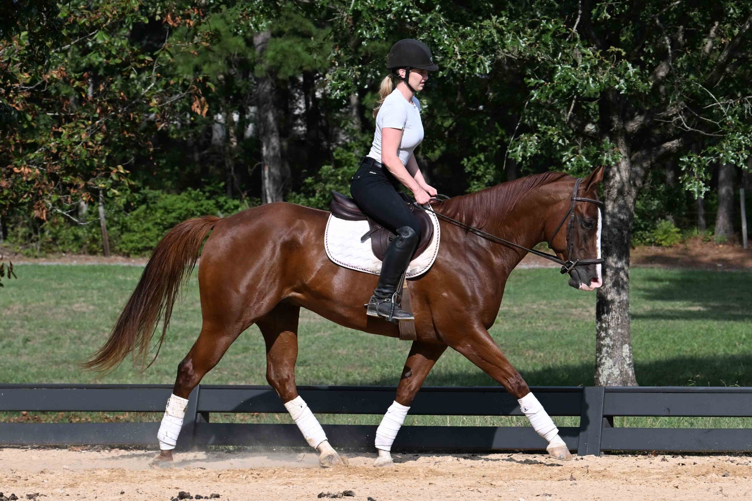 west-family-testimonial