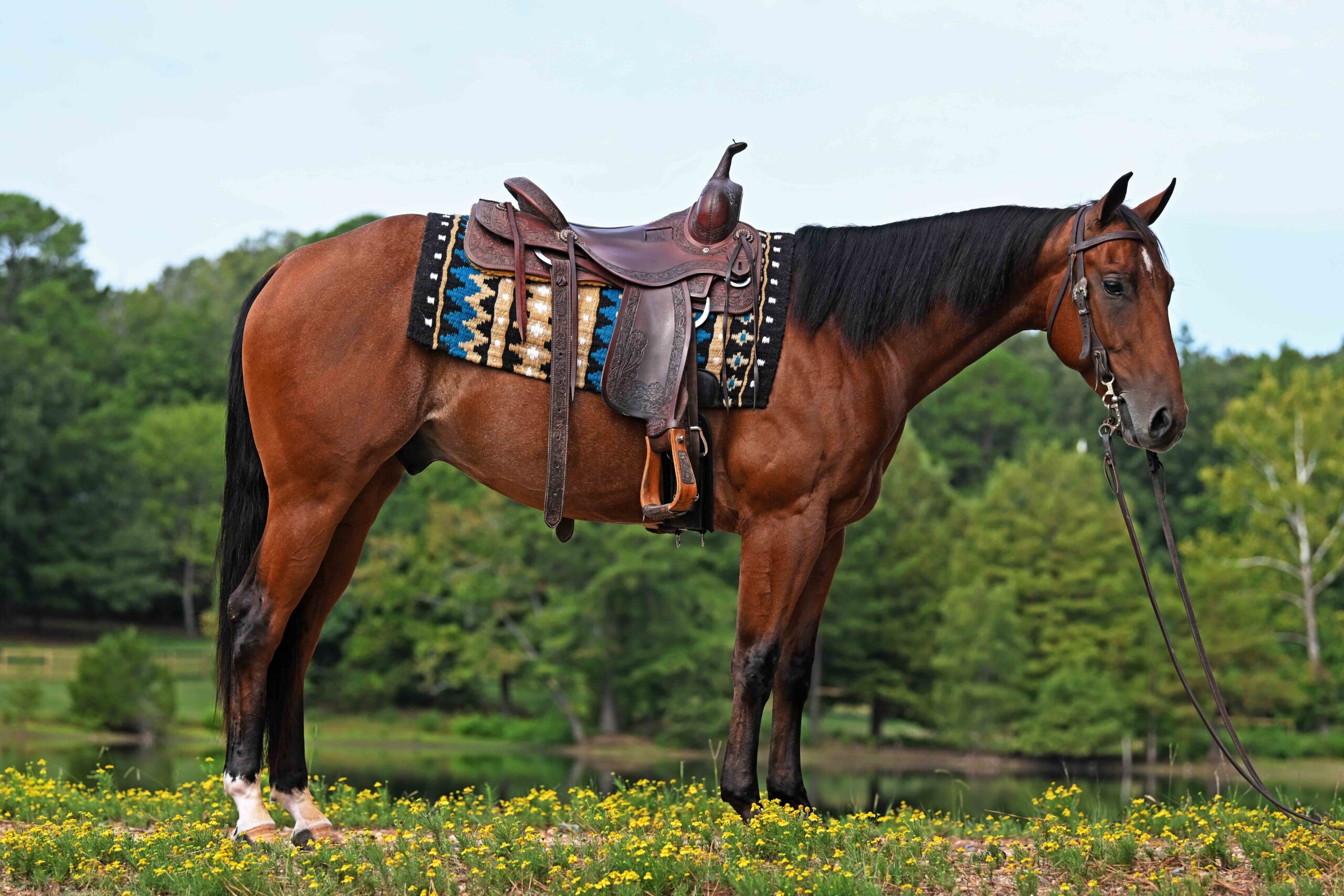 west-family-testimonial