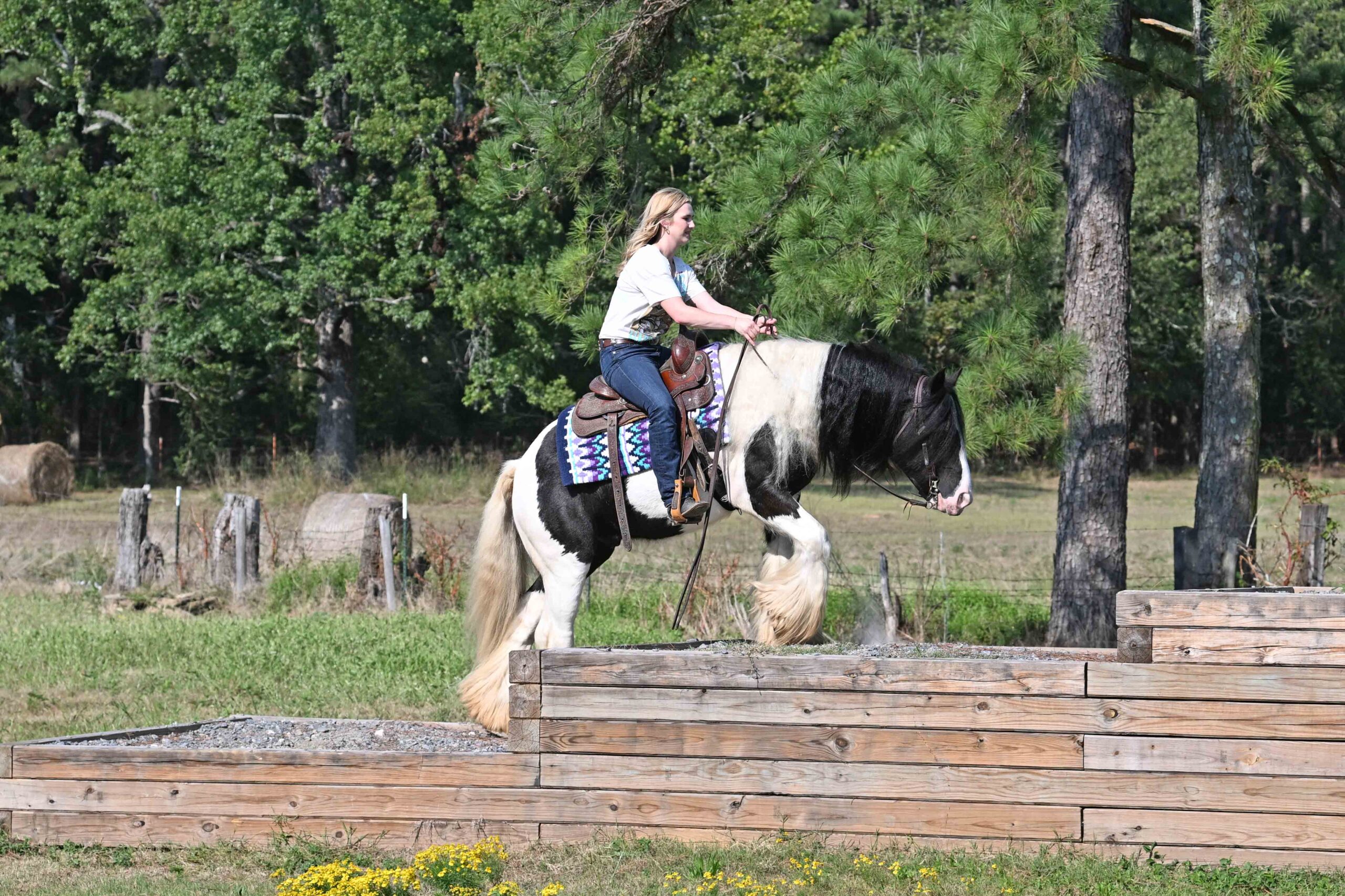 west-family-testimonial