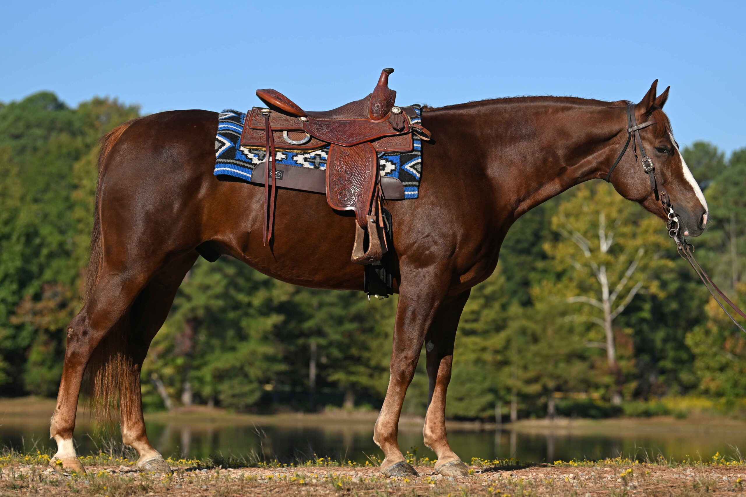 west-family-testimonial